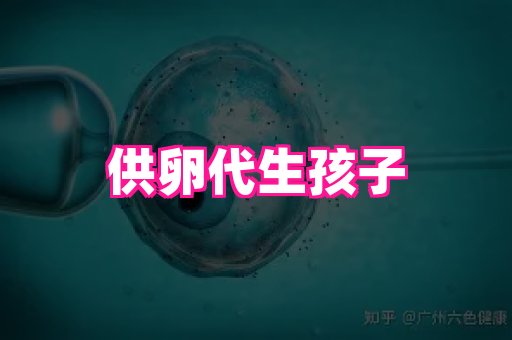 nub孕网 2
