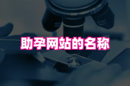 nub孕网 3